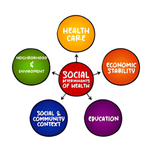 Social determinants of health Mosaic Health